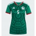 Mexiko Johan Vasquez #5 Hemmatröja Dam VM 2026 Kortärmad